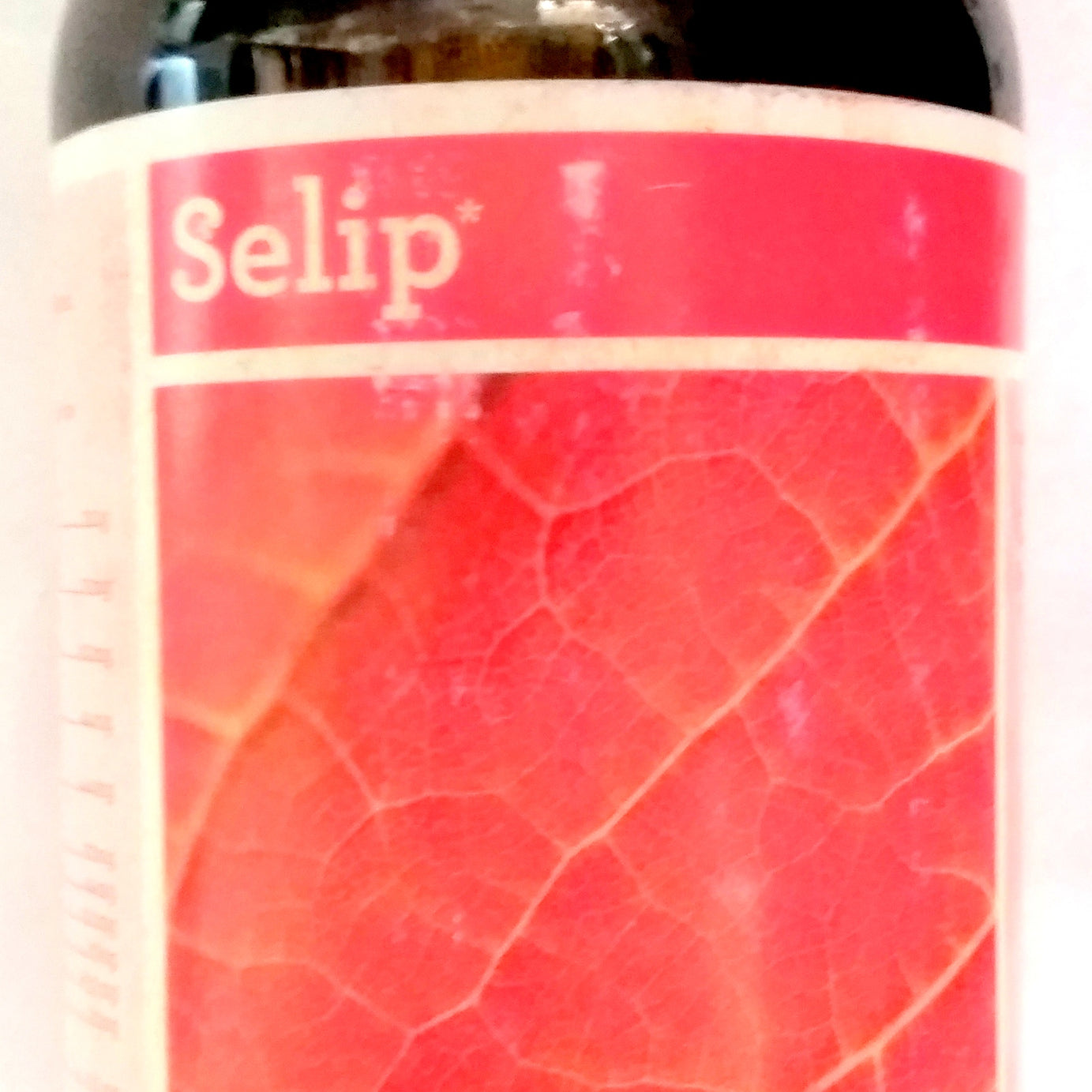 Shop Selip syrup 200ml at price 135.00 from Bipha Online - Ayush Care