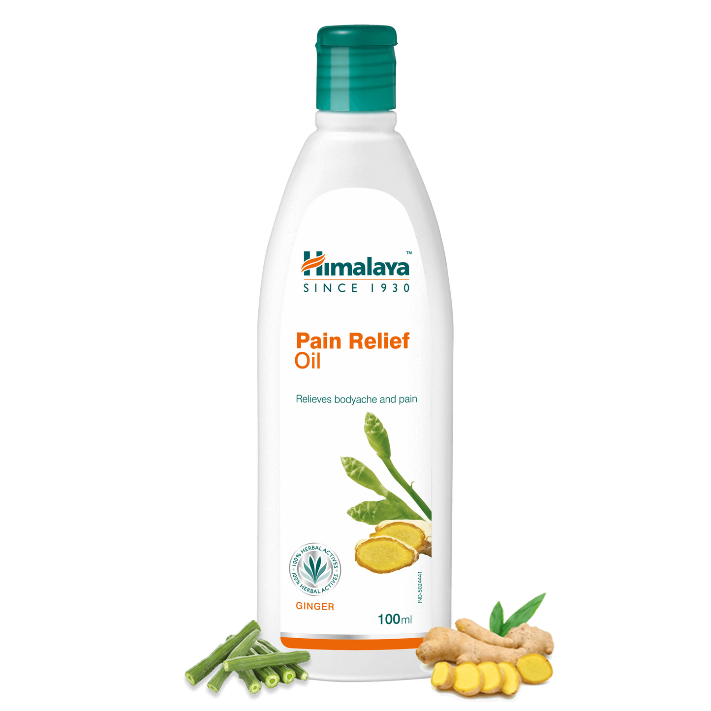 shop himalaya pain relief oil 100ml at price 110.00 from himalaya online - ayush care