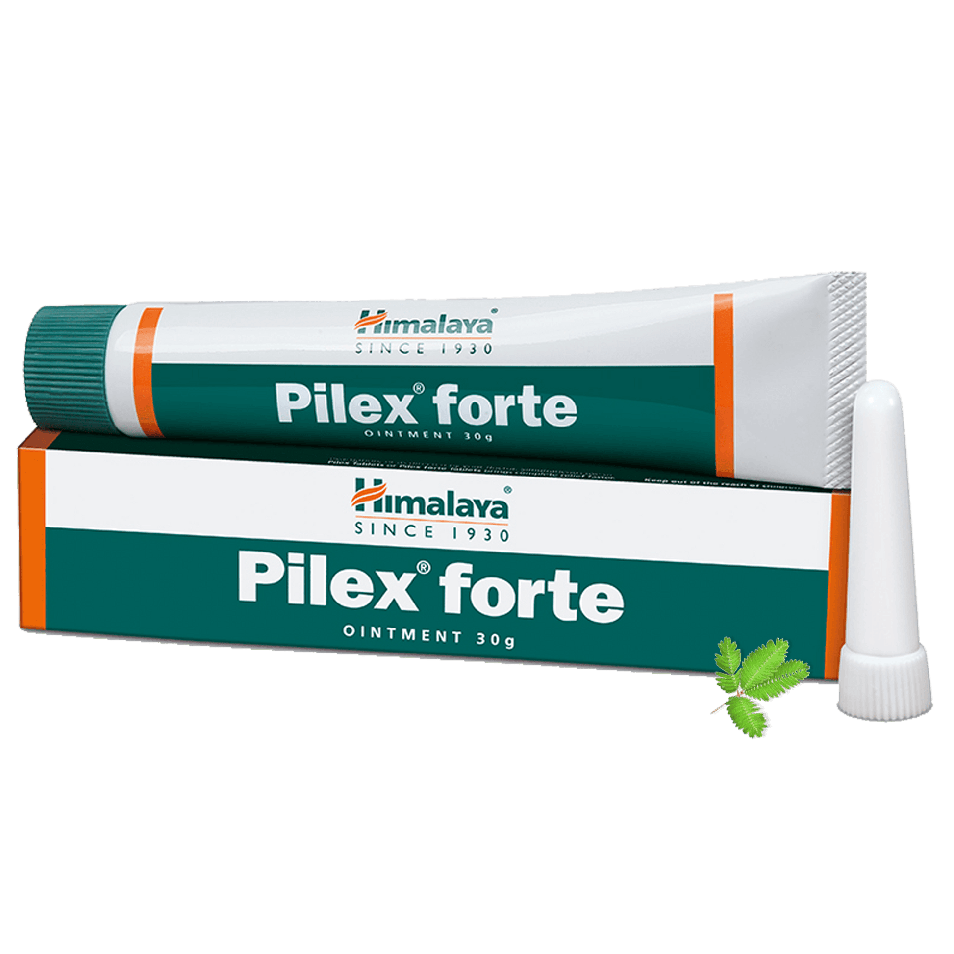 Shop Himalaya Pilex forte Ointment 30g at price 85.00 from Himalaya Online - Ayush Care